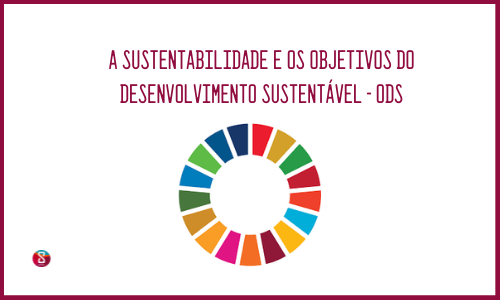 Os ODSs e a Sustentabilidade
